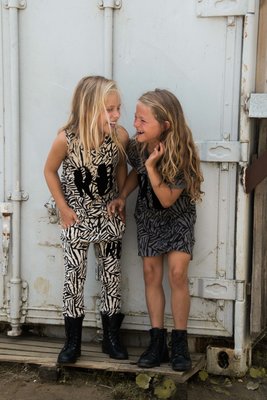 GIRLS ZEBRA DRESS GREY