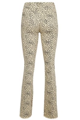 CHEETAH FLARE PANTS SAND