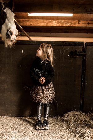 GIRLS HOODED SWEATER CLASSIC ROCKING BALLERINA