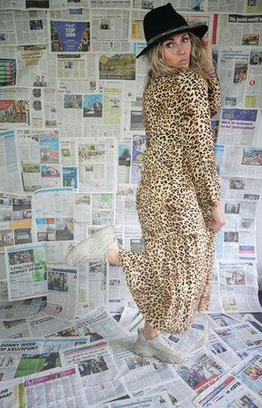 JADE LEOPARD DRESS
